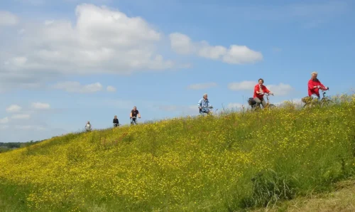 Classical Tour | Muzikale fietstocht